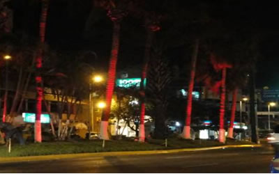 Iluminación Ornamental, Acapulco