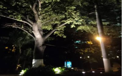 Iluminación Ornamental, Acapulco